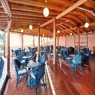 Relaxia Olivina