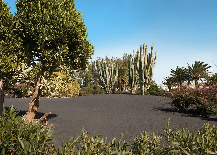 Relaxia Olivina 호텔 푸에르토 델 카르멘