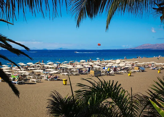 Relaxia Olivina 호텔